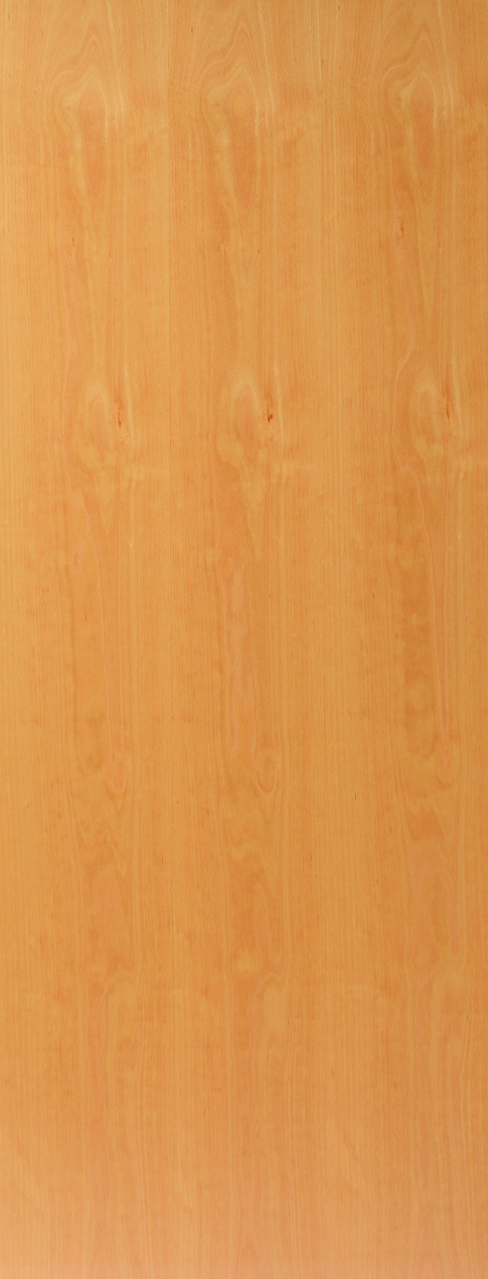 Beech veneered flush