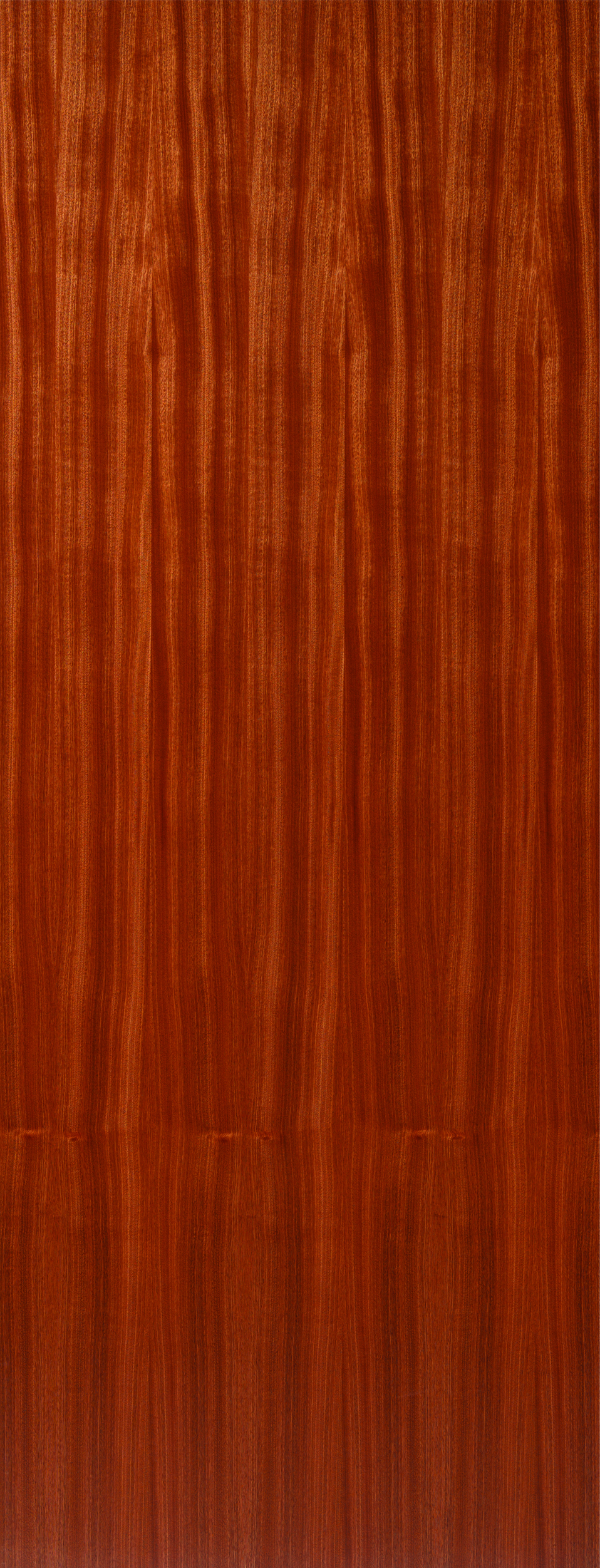 Sapele veneered flush